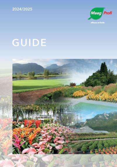 guide