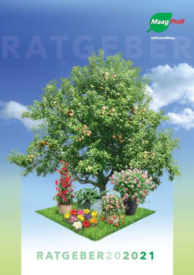 Ratgeber 20