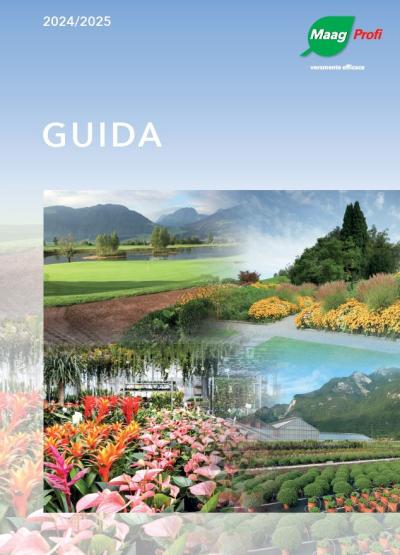 Guida