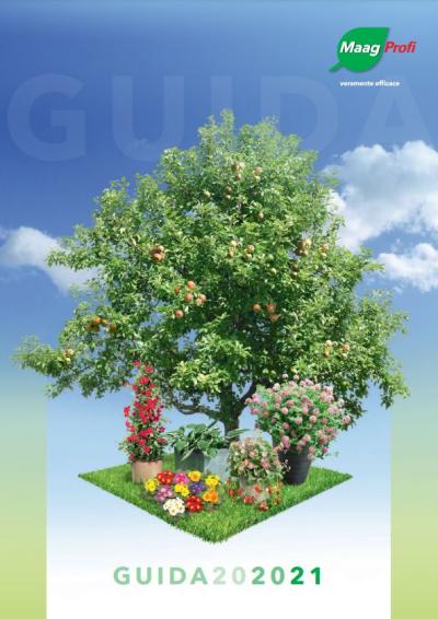 Guida