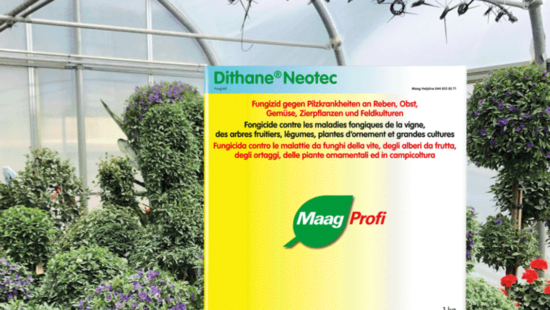 Dithane Neotec