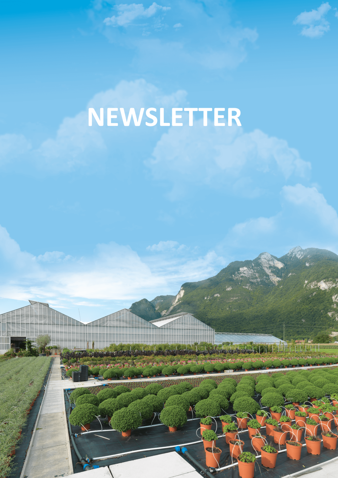 Newsletter