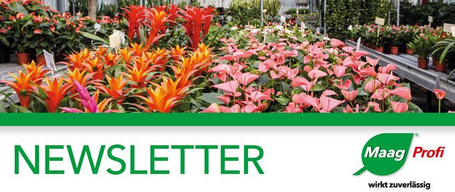 Newsletter