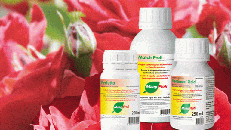 Perfetto, Vertimec, Match Profi