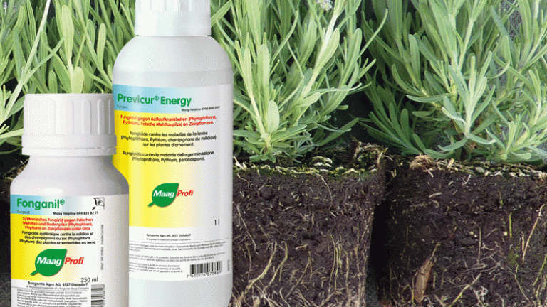 Fonganil, Previcur Energy