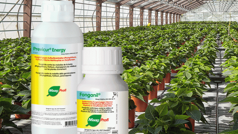 Fonganil, Previcur Energy