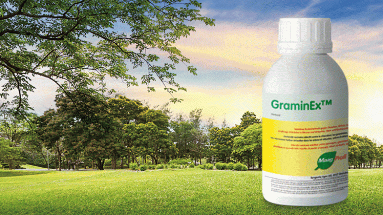 GraminEx