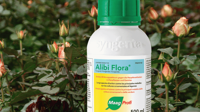 Alibi Flora