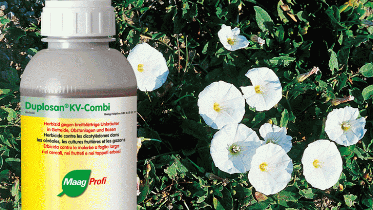 Duplosan KV-Combi
