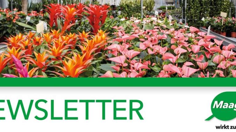 Newsletter