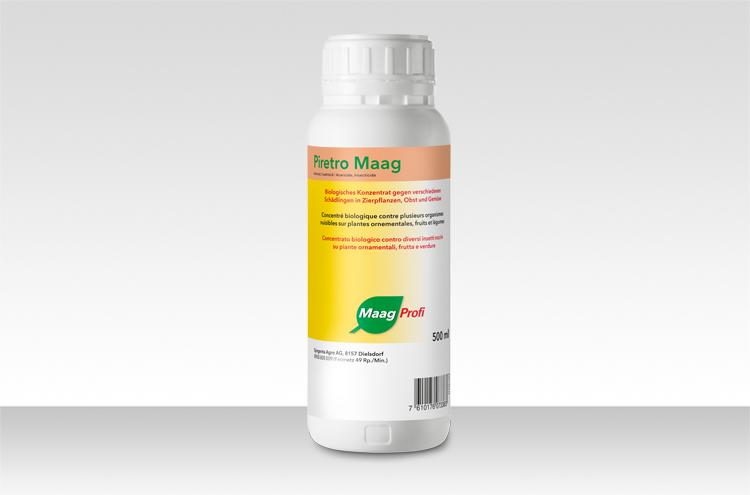 Piretro Maag